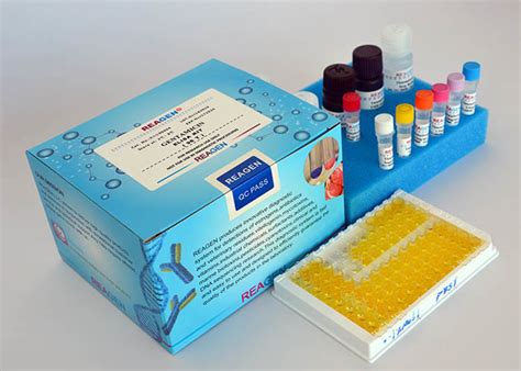 High Sensitivity Chlormadinone ELISA Test Kit For Accurate Quantitative ...