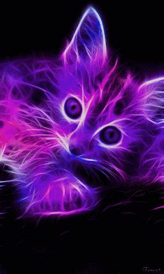 Cat GIF - Find & Share on GIPHY | Cute animal drawings, Neon cat, Cute animal drawings kawaii