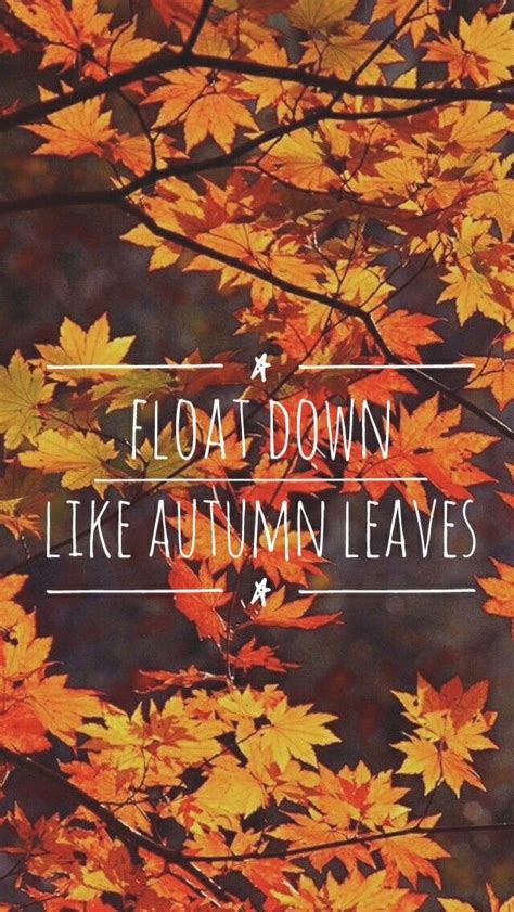 Autumn Leaves - Ed Sheeran Lyrics Lockscreen | Imagens de outono ...