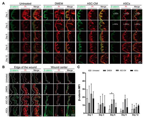 Cells | An Open Access Journal from MDPI