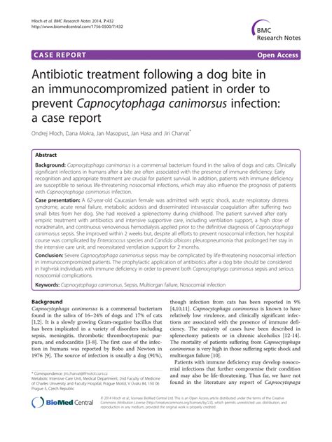 What Antibiotics Are Given For Dog Bites