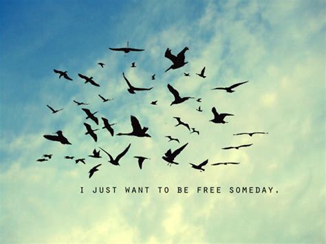 Quotes about Bird freedom (34 quotes)