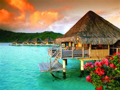 Download A Hut On The Ocean With Flowers And A Sunset | Wallpapers.com