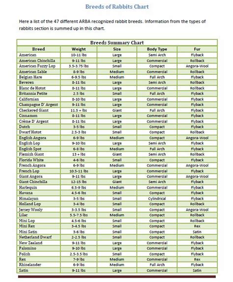 Rabbit Breeds Chart