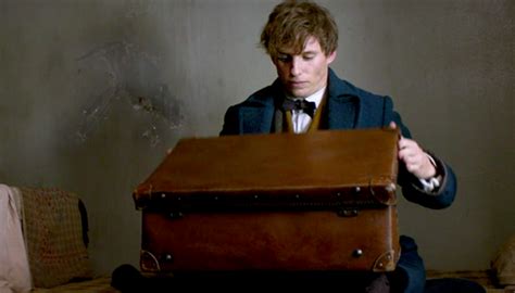 What creatures does Newt Scamander keep in his suitcase? – Cinereplicas USA