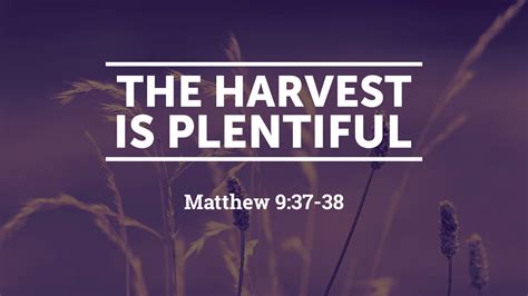 The Harvest is Plentiful - Logos Sermons