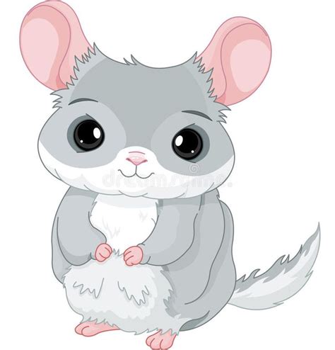 Chinchilla. Illustration of lovely grey chinchilla , #AD, #Illustration ...