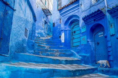 6 Must-Do Activities in Morocco’s Blue City