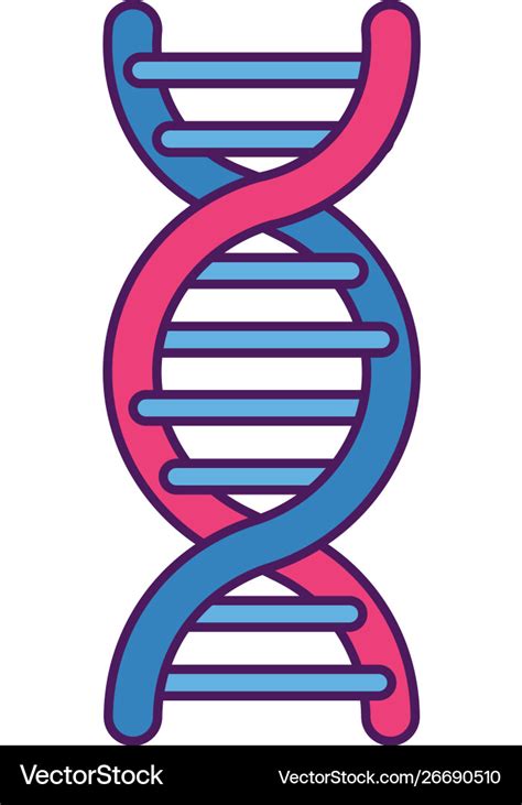 Dna helix icon Royalty Free Vector Image - VectorStock