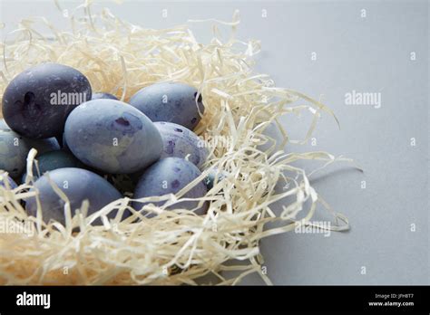 Blue eggs in nest Stock Photo - Alamy