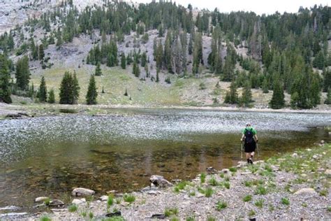 12 Amazing Nevada Hikes Under 3 Miles You'll Absolutely Love | Nevada ...