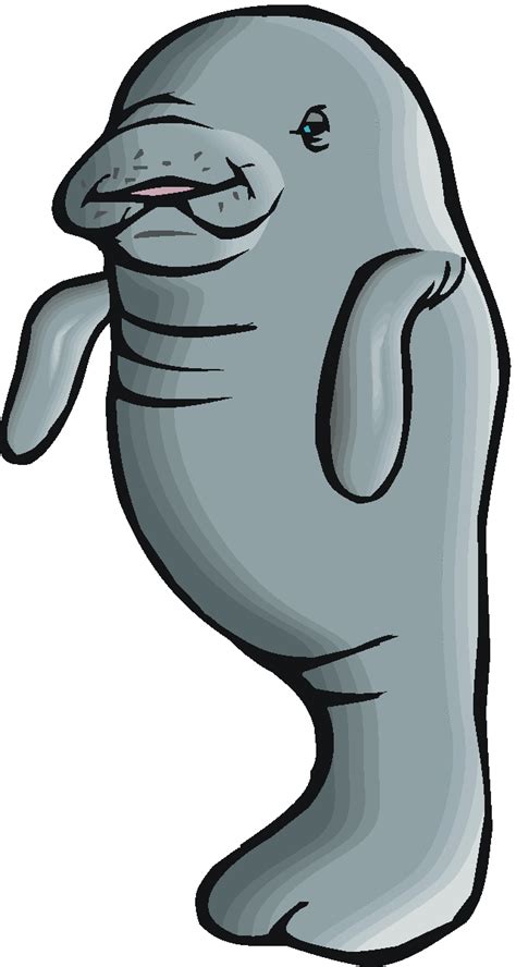 Free Manatee Clipart