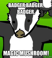 Badger,Badger, Badger, MAGIC MUSHROOM! - Badge,Badger,Badger MAGIC MUSHROOM ! - quickmeme