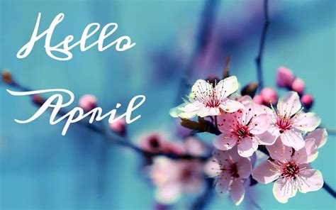 720P Free download | Hello April, spring april HD wallpaper | Pxfuel