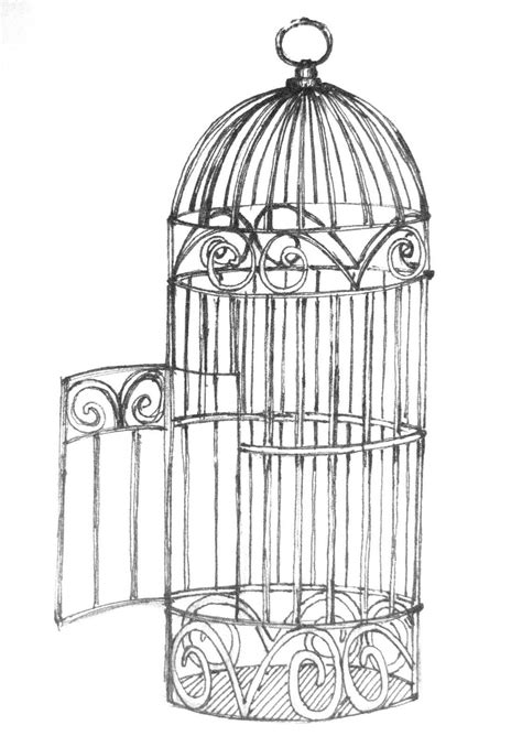 Bird | Catalogopet.net | Birdcage tattoo, Bird cage, Birdcage drawing