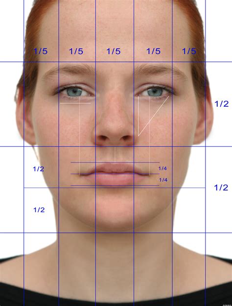 Beauty Studies Show Ratios Explain Human Attractiveness (VIDEO) | HuffPost