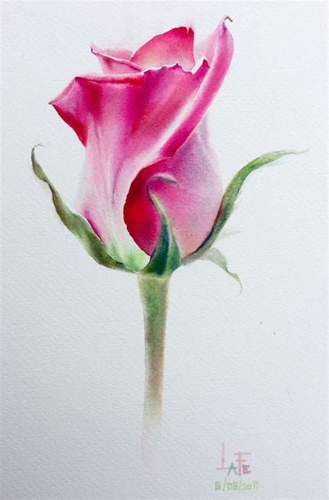 Pin by Ilona Coffee on AquarellesFLEURS | Flower painting, Watercolor flowers paintings ...