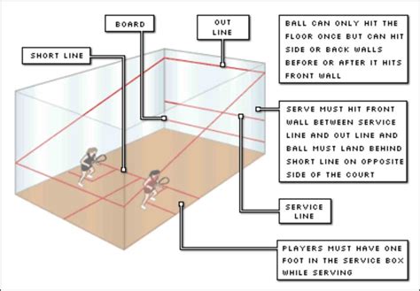 Squash 101 | Mitchell Squash