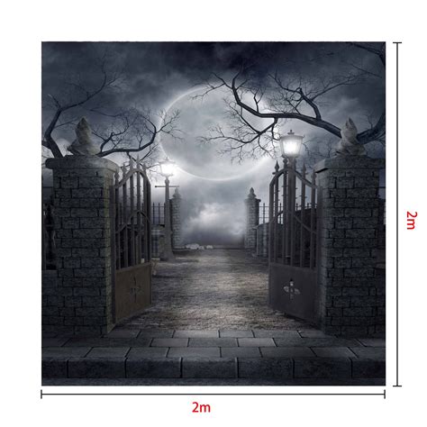 Buy cheap Kate Halloween fabric Backdrop for photography Haunted house – Katebackdrop