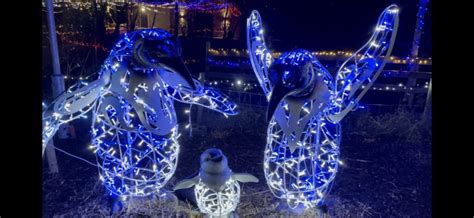 Lapland in Donegal! The unmissable Christmas experience returns to Wild ...