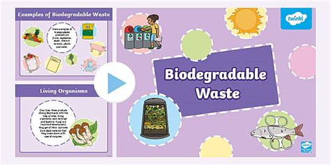 Biodegradable Waste PowerPoint Lower Primary (teacher made)