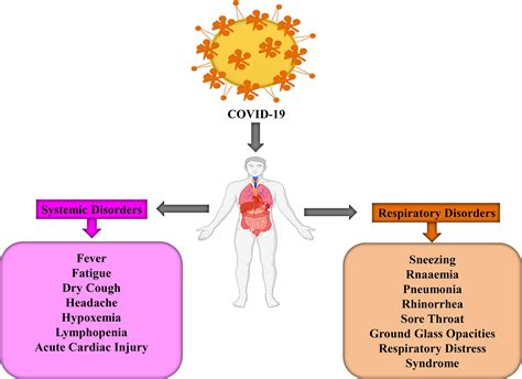 Frontiers | COVID-19 Outbreak: Pathogenesis, Current Therapies, and Potentials for Future Management