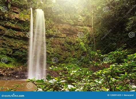 Ginseng Waterfall in Maliau Basin Stock Image - Image of camp, natural: 120091425