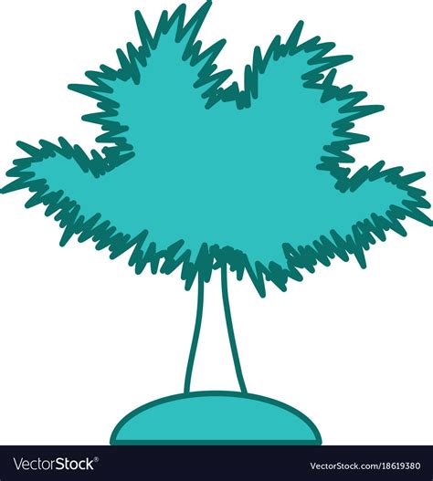 Palm tree Royalty Free Vector Image - VectorStock