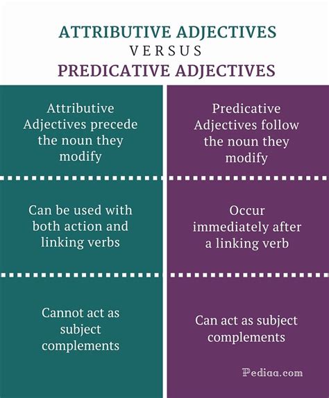 Difference Between Attributive and Predicative Adjectives - infographic | Adjectives, Grammar ...