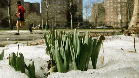 March Weather: 5 Reasons It Frustrates You | Weather Underground