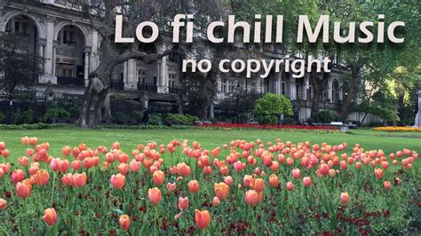 Lo fi chill beats| Music Stream - YouTube