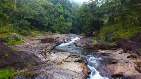 River Kallar in Trivandrum | Kerala Tourism