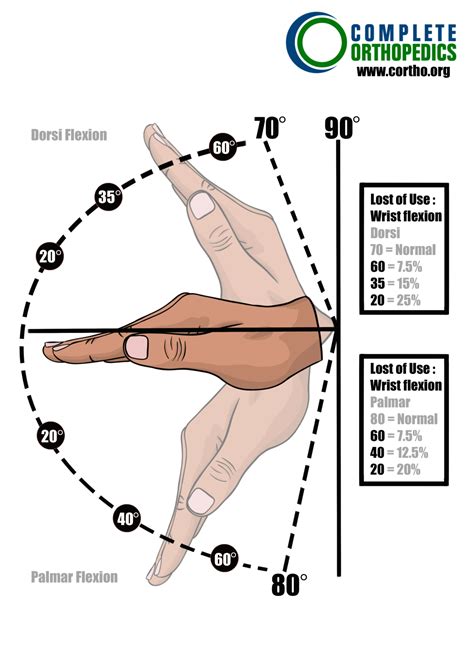 Scheduled Loss of Use for Upper Extremities - Complete Orthopedics