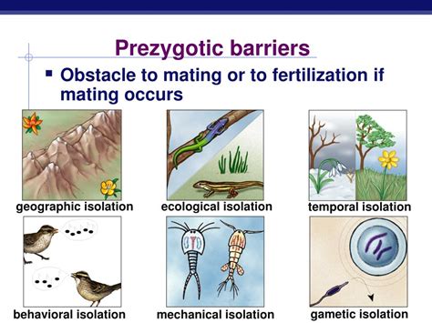 PPT - Speciation PowerPoint Presentation, free download - ID:2647678