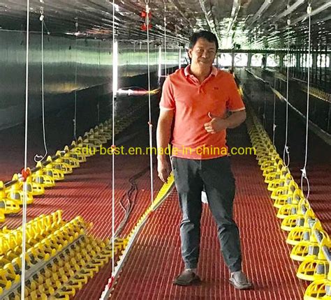 High Quality Automatic Broiler Poultry Farming Equipment - China ...