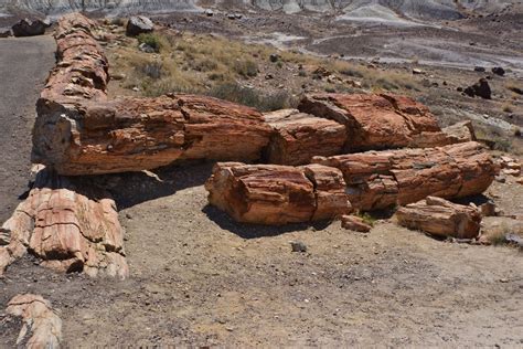 No Bad Days RVing: Petrified Forest National Park