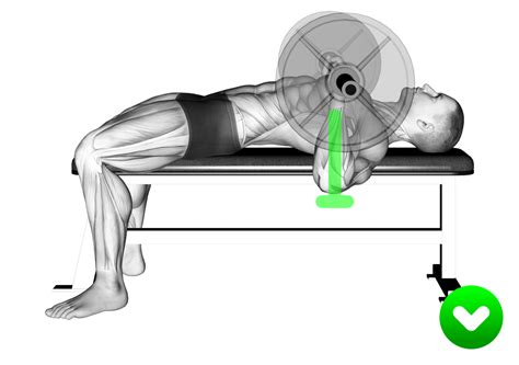 Bench Press Wrist Position: The Important of Neutral Orientation - Inspire US