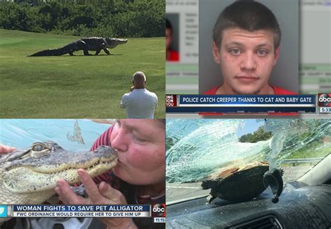 2016 Florida headlines that left us speechless - abcactionnews.com WFTS-TV