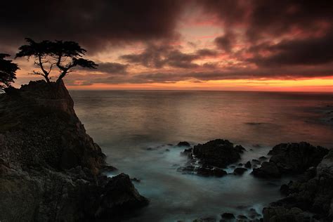 The Lone Cypress Observes A Pebble Beach Sunset Photograph by Dave Sribnik