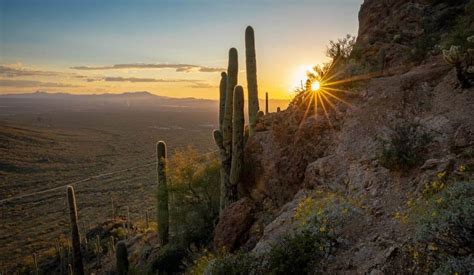 The 15 Best Hikes in Tucson - Back o' Beyond