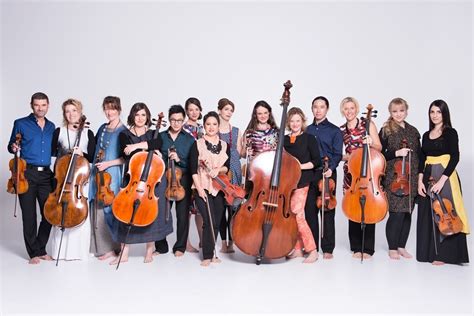 Meet The Chamber Orchestra A Family Concert | Must Do Brisbane