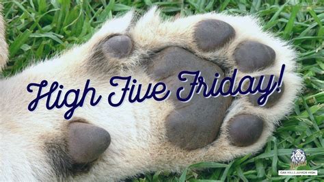 High Five Friday - YouTube