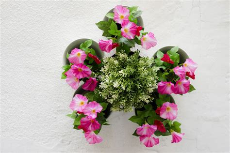 Colorful flowers pots hang onto the wall - Creative Commons Bilder