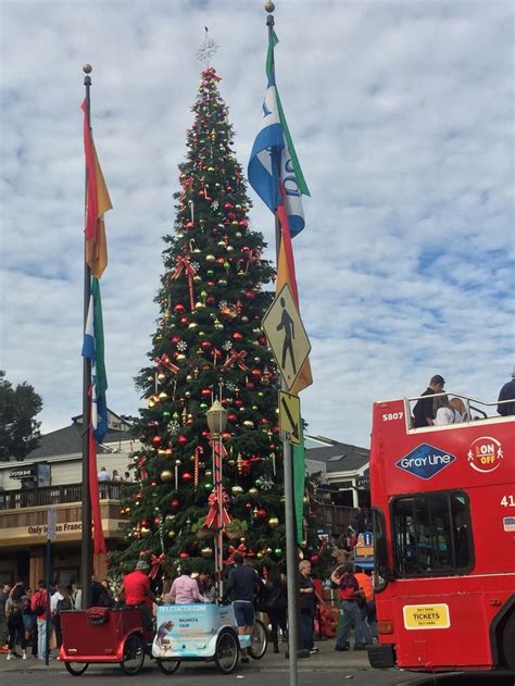 Pier 39 Christmas Tree