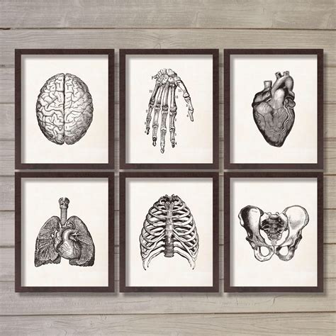 #officedesign | Medical office decor, Doctors office decor, Medical art