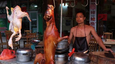 Yulin dog meat festival begins despite rumours of ban - BBC News