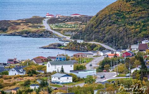 St. Anthony | Newfoundland, Nature photography, Newfoundland and labrador