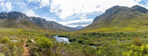 A Fynbos Landscape with Stream in Kogelberg Nature Reserve in South ...