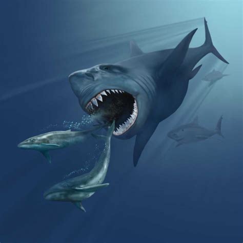 Megalodon (Carcharodon megalodon) | REVOLTADO POR NATUREZA