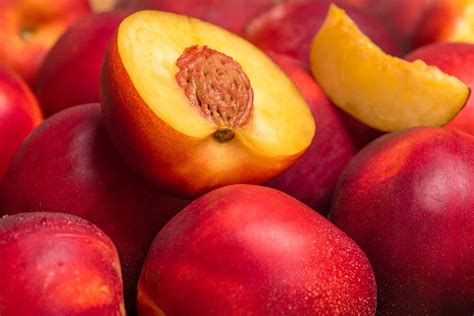 56 Nectarine Varieties: An Overview (With Pictures) | House Grail